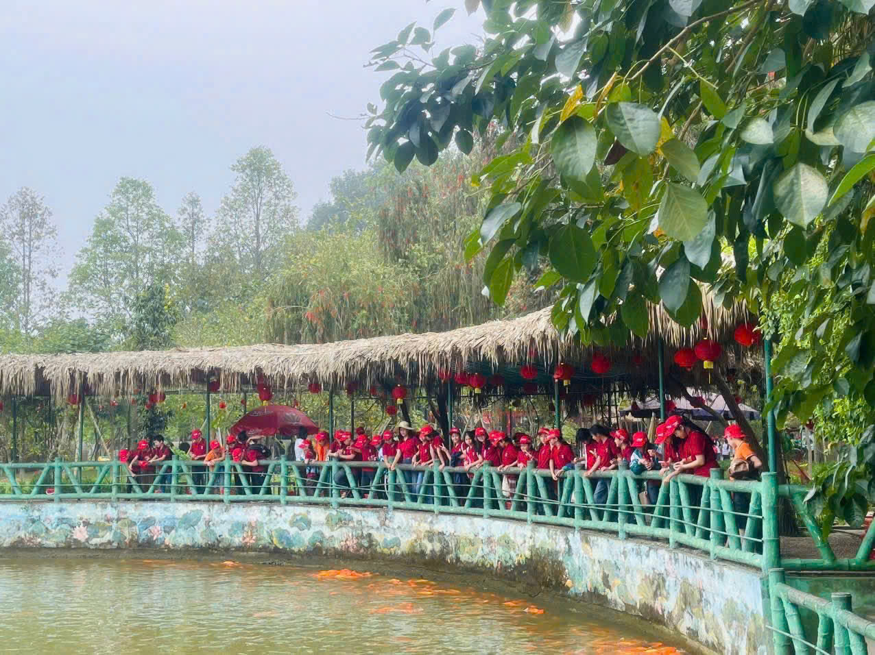 HOẠT ĐỘNG TRẢI NGHIỆM KHỐI 4,5